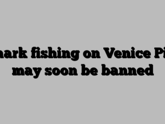 Shark fishing on Venice Pier may soon be banned