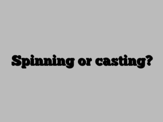 Spinning or casting?