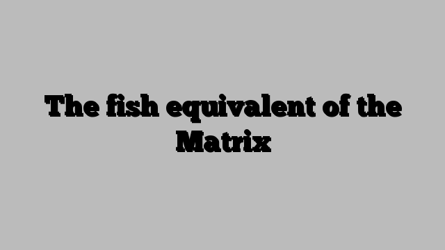 The fish equivalent of the Matrix