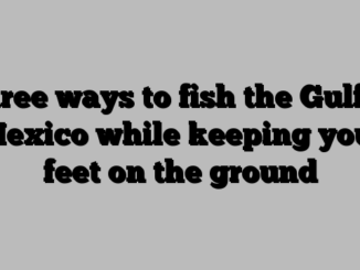 Three ways to fish the Gulf of Mexico while keeping your feet on the ground