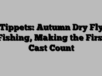 Tippets: Autumn Dry Fly Fishing, Making the First Cast Count