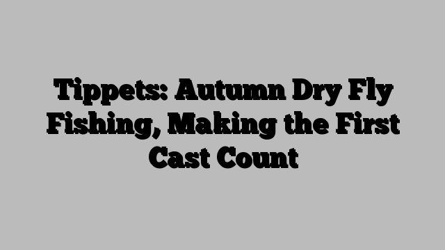 Tippets: Autumn Dry Fly Fishing, Making the First Cast Count