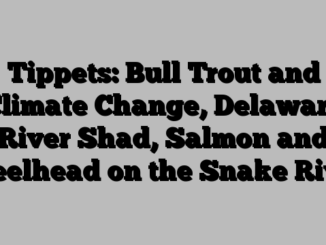 Tippets: Bull Trout and Climate Change, Delaware River Shad, Salmon and Steelhead on the Snake River