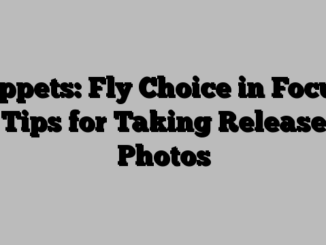 Tippets: Fly Choice in Focus, Tips for Taking Release Photos