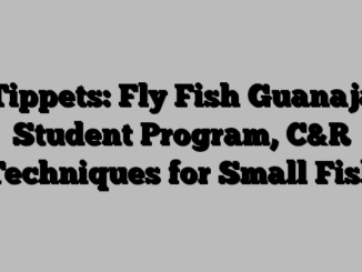 Tippets: Fly Fish Guanaja Student Program, C&R Techniques for Small Fish