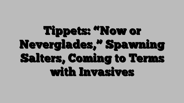 Tippets: “Now or Neverglades,” Spawning Salters, Coming to Terms with Invasives