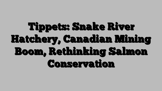 Tippets: Snake River Hatchery, Canadian Mining Boom, Rethinking Salmon Conservation