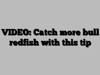 VIDEO: Catch more bull redfish with this tip