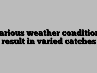 Various weather conditions result in varied catches