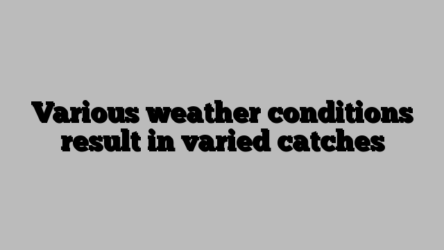 Various weather conditions result in varied catches