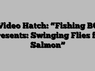 Video Hatch: “Fishing BC Presents: Swinging Flies for Salmon”