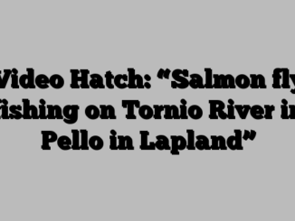 Video Hatch: “Salmon fly fishing on Tornio River in Pello in Lapland”