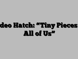 Video Hatch: “Tiny Pieces of All of Us”