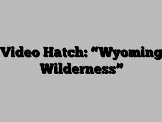 Video Hatch: “Wyoming Wilderness”