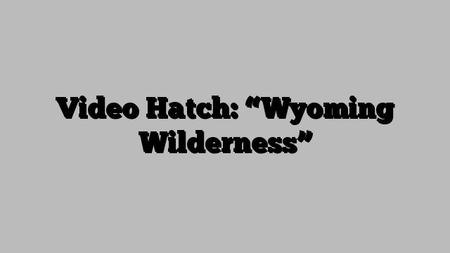 Video Hatch: “Wyoming Wilderness”