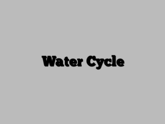 Water Cycle