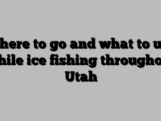 Where to go and what to use while ice fishing throughout Utah