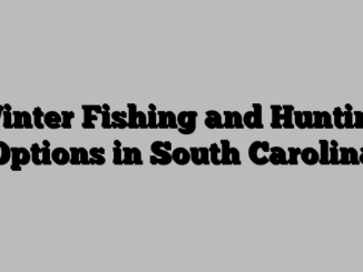 Winter Fishing and Hunting Options in South Carolina