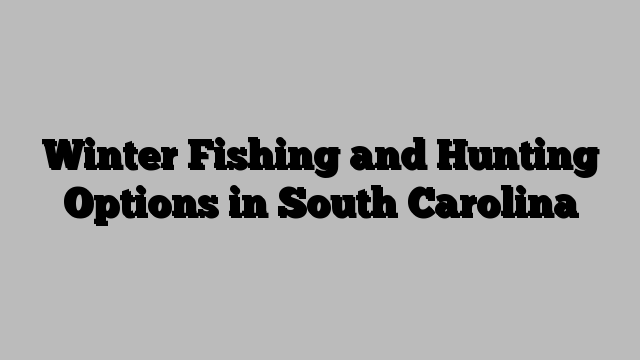 Winter Fishing and Hunting Options in South Carolina