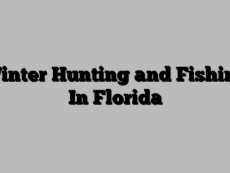 Winter Hunting and Fishing In Florida