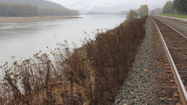 BC investigating improperly used herbicide along the Skeena