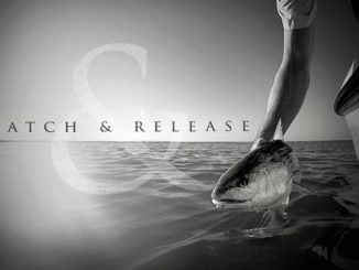 Catch and Release