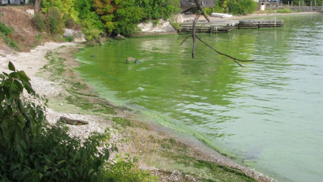 Farm Runoff Stinks