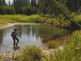 Master Class Monday: When to Use Small Flies for Trout