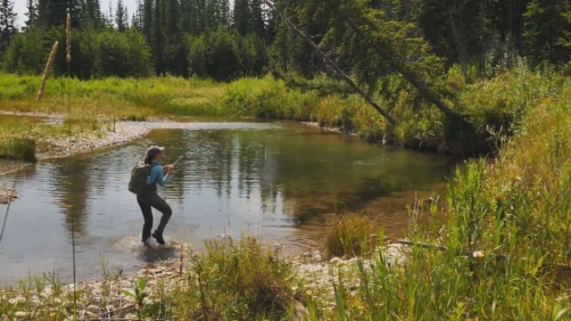 Master Class Monday: When to Use Small Flies for Trout