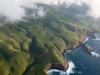 Mexico Designates North America’s Largest Ocean Reserve