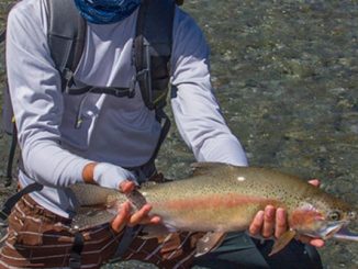 Photos: A Boy’s First New Zealand Trout