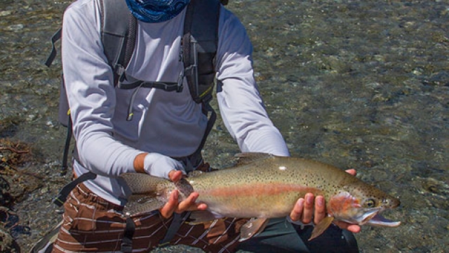 Photos: A Boy’s First New Zealand Trout