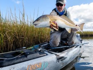 Photos: A Free Pass for Redfish on the Louisiana Marsh