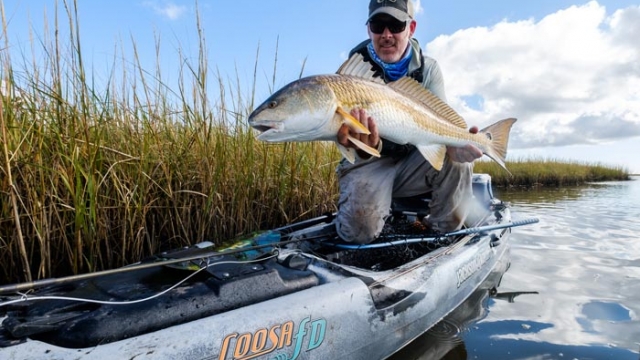 Photos: A Free Pass for Redfish on the Louisiana Marsh