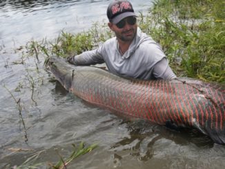 Photos: Becoming a Believer in Brazil