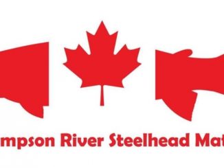 TAKE ACTION: Sign the Petition to Save Endangered Thompson River Steelhead