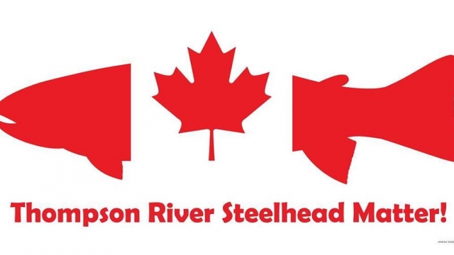 TAKE ACTION: Sign the Petition to Save Endangered Thompson River Steelhead