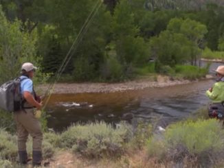 Video: How to Read Water to Find Fish