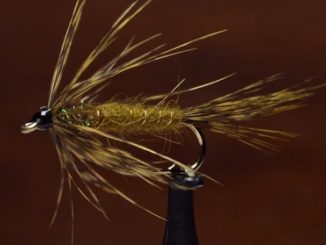 Video: How to Tie the Carey Special