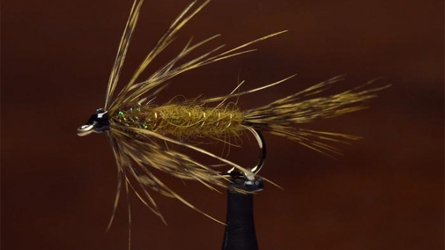 Video: How to Tie the Carey Special