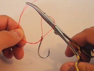 Video Pro Tip: Use Your Hemostat to Tie a Clinch Knot