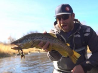 Video Tuesday Tips: 5 Flies for November in the Rockies