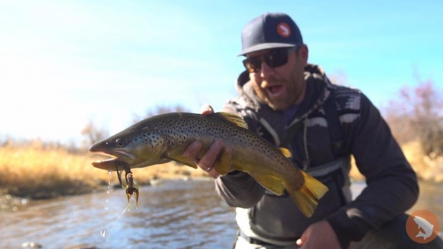 Video Tuesday Tips: 5 Flies for November in the Rockies