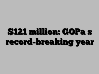 1 million: GOPa s record-breaking year