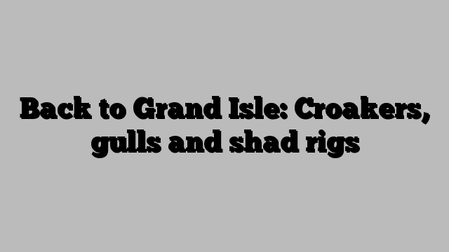 Back to Grand Isle: Croakers, gulls and shad rigs