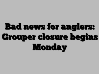 Bad news for anglers: Grouper closure begins Monday