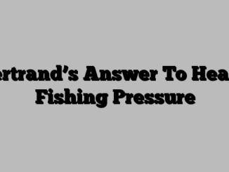 Bertrand’s Answer To Heavy Fishing Pressure