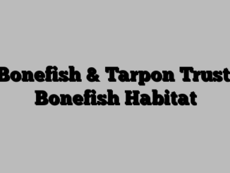 Bonefish & Tarpon Trust: Bonefish Habitat