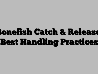 Bonefish Catch & Release: Best Handling Practices