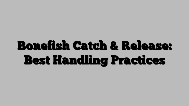 Bonefish Catch & Release: Best Handling Practices